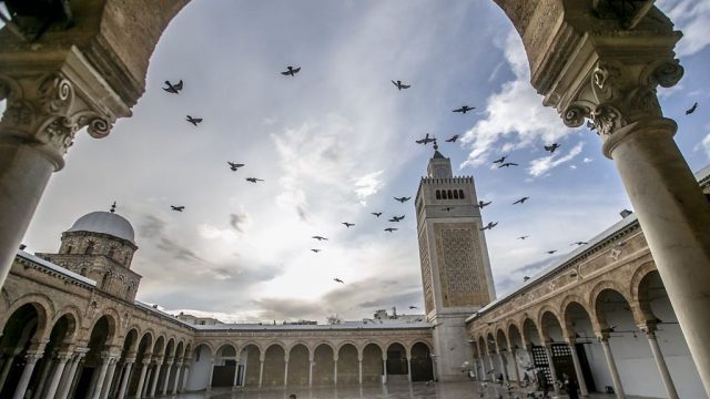 في اي مدينه يقع جامع الزيتون | موسوعة الشرق الأوسط