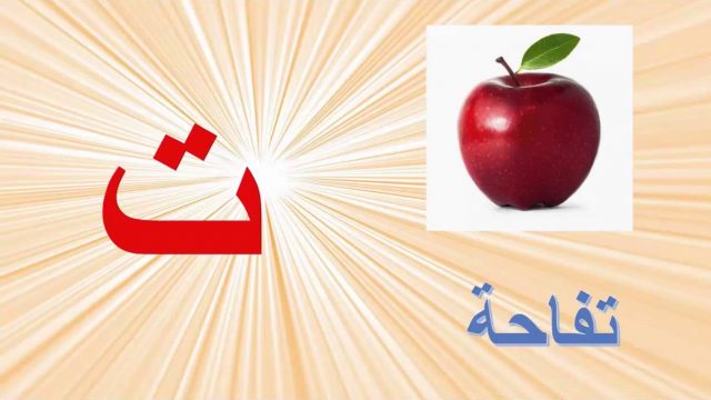 كلمات بها تاء مربوطة | موسوعة الشرق الأوسط