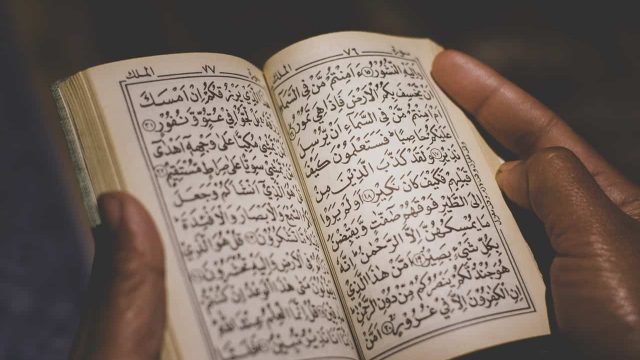 كم عدد احزاب القران | موسوعة الشرق الأوسط