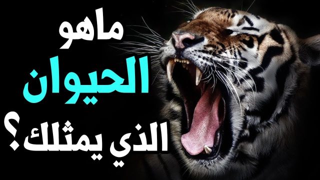 كيف اعرف حيواني الروحي | موسوعة الشرق الأوسط