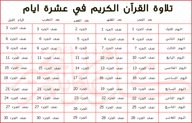 كيف تختم القران في اسبوع 4 | موسوعة الشرق الأوسط