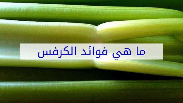 كيف يؤكل الكرفس | موسوعة الشرق الأوسط