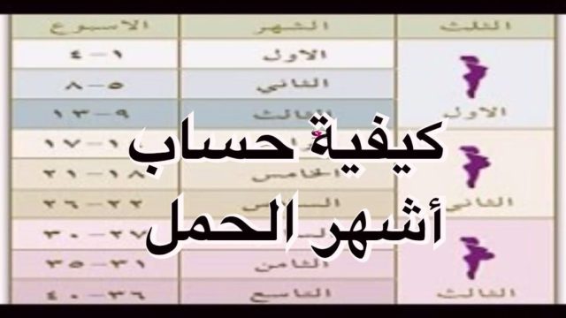 كيفية حساب الحمل بالهجري | موسوعة الشرق الأوسط