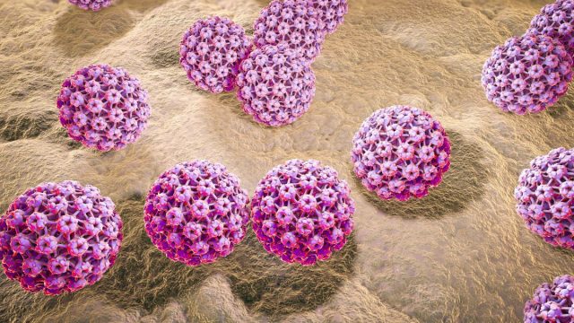 ما هو فيروس hpv | موسوعة الشرق الأوسط