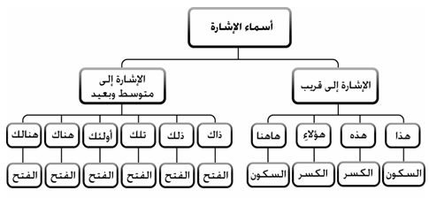 ما هي أسماء الإشارة e1625875583511 | موسوعة الشرق الأوسط