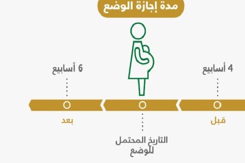 مدة اجازة الوضع 768x331 1 | موسوعة الشرق الأوسط