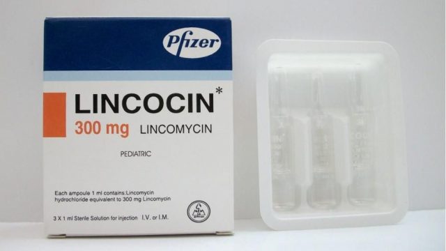 معلومات عن المضاد الحيوي لينكوسين Lincocin | موسوعة الشرق الأوسط