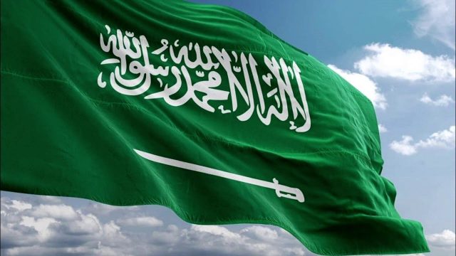 معلومات عن نظام التخصيص السعودي الجديد | موسوعة الشرق الأوسط