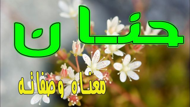 معنى اسم حنان وصفات حاملة الاسم | موسوعة الشرق الأوسط