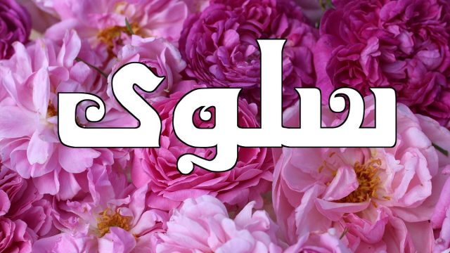 معنى اسم سلوى | موسوعة الشرق الأوسط