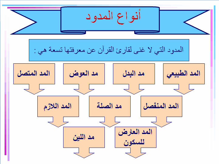 نوع المد في كلمة حمٓ 1 | موسوعة الشرق الأوسط